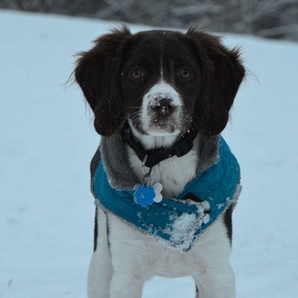 Meet your Posher, Lorraine - Picture 1 of 1